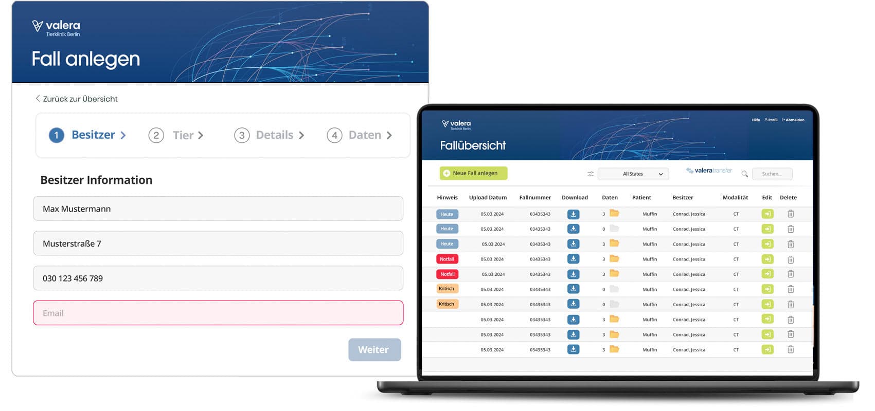 Valera Professional Services